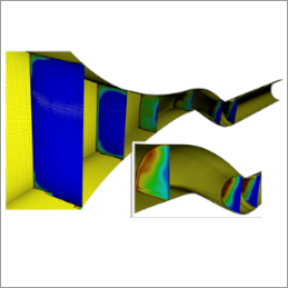 Unable to display online image