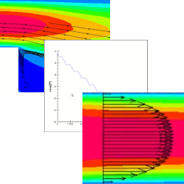 Unable to display online image