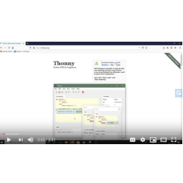 Unable to display online image